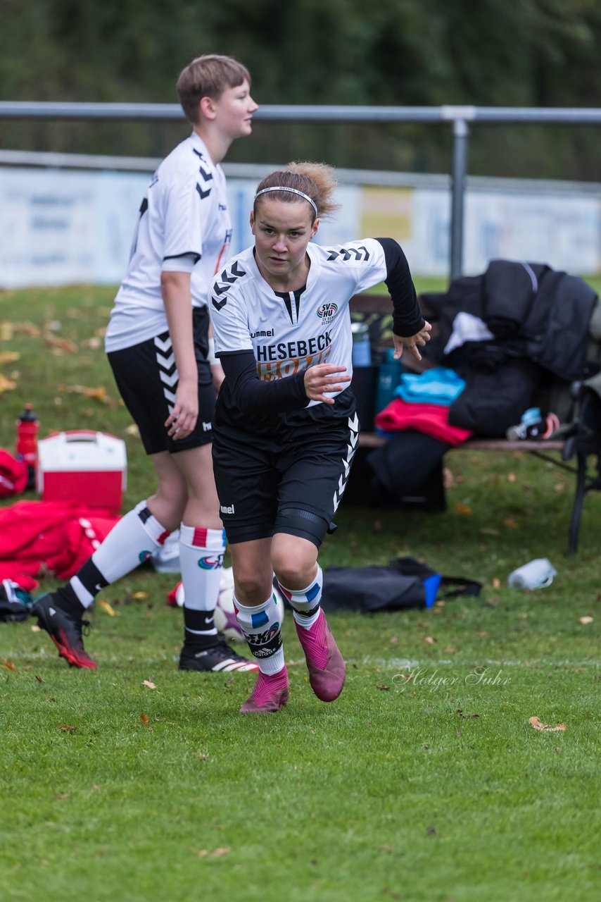 Bild 99 - B-Juniorinnen SV Henstedt Ulzburg - Hamburger SV : Ergebnis: 2:3